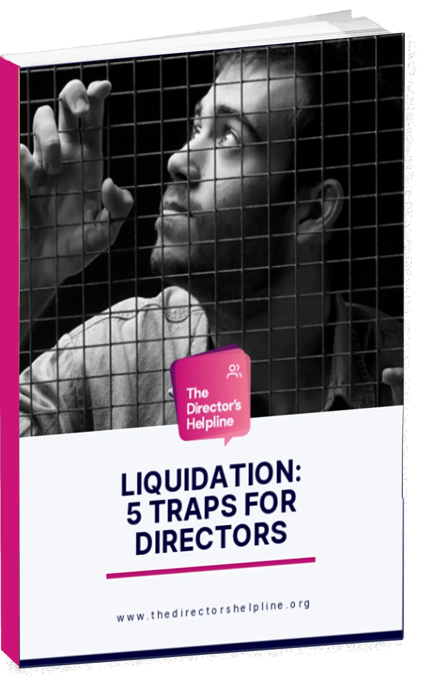 5-Traps-for-Directors-Guide