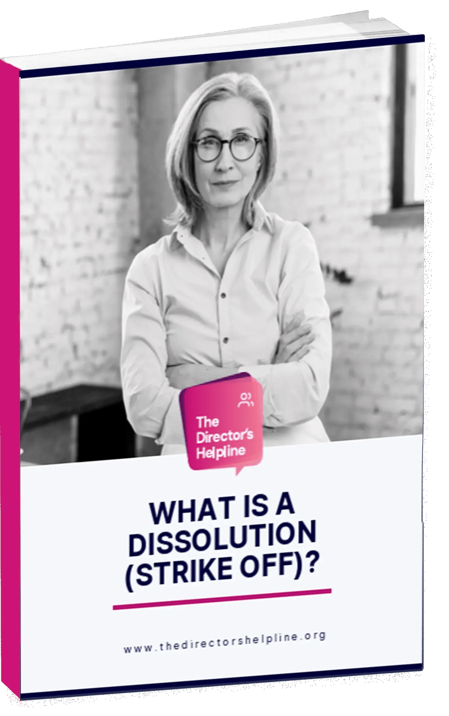 what-is-a-dissolution-guide